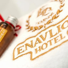 Enavlion Hotel гостиничный бар