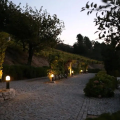 Отель Quinta Da Timpeira фото 6