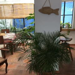 Отель Casa Molcajete Мексика, Мехико - отзывы, цены и фото номеров - забронировать отель Casa Molcajete онлайн питание фото 3