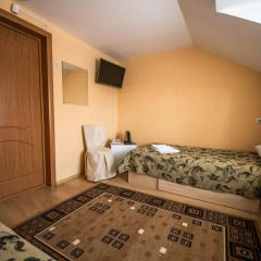 Гостиница Золотой лев 2* Номер категории Эконом с двуспальной кроватью фото 3