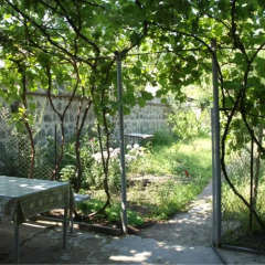 Отель Andranik B&B