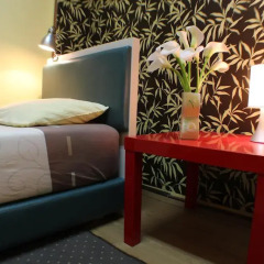 Hostel and Apartments Skadarlija Sunrise Стандартный номер с различными типами кроватей фото 8