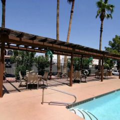 Отель Americas Best Value Inn Downtown Las Vegas США, Лас-Вегас - отзывы, цены и фото номеров - забронировать отель Americas Best Value Inn Downtown Las Vegas онлайн бассейн фото 3