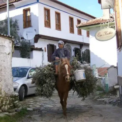 Отель Dionysos Pension парковка
