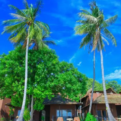 Отель Koh Tao Beach Club 3* Номер Делюкс с различными типами кроватей фото 17