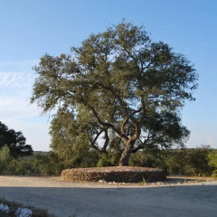 Отель Buddha Peaceful Oasis пляж