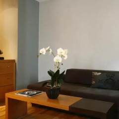 JM Suites Hotel 4* Полулюкс с различными типами кроватей фото 4