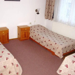 Отель Guest Rooms Metaksinovi Болгария, Чепеларе - отзывы, цены и фото номеров - забронировать отель Guest Rooms Metaksinovi онлайн комната для гостей фото 3