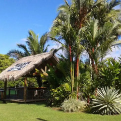 Отель Club Oceanus Resort Фиджи, Вити-Леву - отзывы, цены и фото номеров - забронировать отель Club Oceanus Resort онлайн пляж