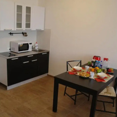 Гостиница ApartLux on Dekabrskikh Sobytiy в Иркутске отзывы, цены и фото номеров - забронировать гостиницу ApartLux on Dekabrskikh Sobytiy онлайн Иркутск в номере фото 2