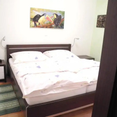 Отель Appartements Steingasse Австрия, Зальцбург - отзывы, цены и фото номеров - забронировать отель Appartements Steingasse онлайн комната для гостей фото 3
