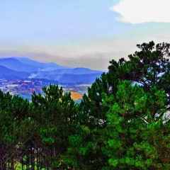 Отель Pine Hill Homestay Dalat пляж