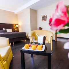 Spa Hotel Panorama Стандартный номер фото 6