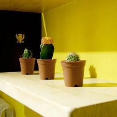 Отель Seoul Dalbit Dongdaemun Guesthouse спа
