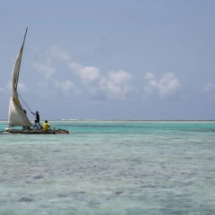 Отель Blue Reef Sport and Fishing Lodge & Bungalows фото 2