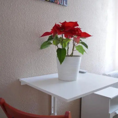 Отель Somnio Hostels 2* Стандартный номер фото 5