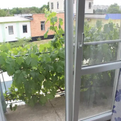 Гостиница Melrose Номер Комфорт с различными типами кроватей фото 3