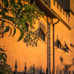 Отель Villa Somelli Италия, Эмполи - отзывы, цены и фото номеров - забронировать отель Villa Somelli онлайн фото 6