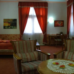 Hotel Restaurant Odeon 3* Люкс с различными типами кроватей фото 13