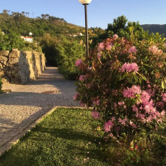 Отель Quinta de CasalMato