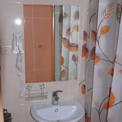 Гостиница Питер Хаус 3* Стандартный номер разные типы кроватей фото 10