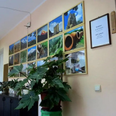 Hotel Kartli интерьер отеля фото 3