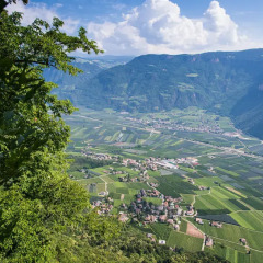 Отель Pension Gruenwald Терлано приотельная территория