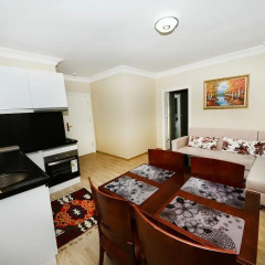 Отель Lemis Suite Istanbul комната для гостей фото 2