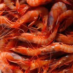 Отель Aiguaneu La Sardana Испания, Бланес - отзывы, цены и фото номеров - забронировать отель Aiguaneu La Sardana онлайн питание фото 2