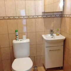 Гостиница Homestay Turchinskogo в Красной Поляне отзывы, цены и фото номеров - забронировать гостиницу Homestay Turchinskogo онлайн Красная Поляна ванная