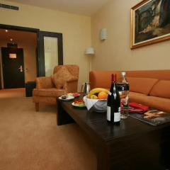 Park Hotel Pirin Сандански в номере фото 2