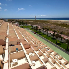 Отель Apartamentos Palm Garden