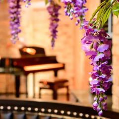 Black Ivy Hotel