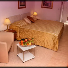 Hotel Vila Tina 3* Номер Делюкс с различными типами кроватей фото 25