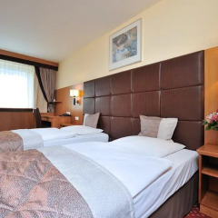 Carlton Hotel Budapest 4* Стандартный номер фото 4