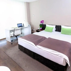 Hotel Adresa 4* Стандартный номер с различными типами кроватей фото 3