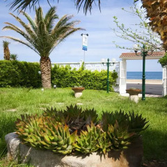 Отель B&B Rima Di Mare Бари