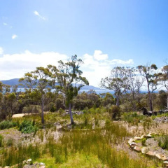 Bruny Island Escapes and Hotel Bruny 3* Студия с различными типами кроватей фото 6
