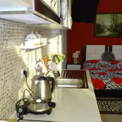 Апартаменты Apartment Shoshi Студия фото 29