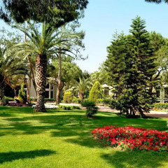 Club Asteria Belek Турция, Белек - 2 отзыва об отеле, цены и фото номеров - забронировать отель Club Asteria Belek - All Inclusive онлайн фото 9