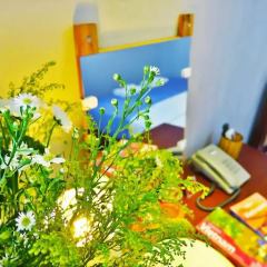 Giang Son 1 Hotel Стандартный номер с двуспальной кроватью фото 5