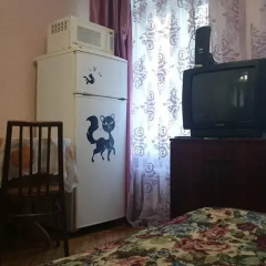 Гостиница Homestay Gagarinskaya 15 удобства в номере