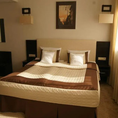 Hotel Borowiecki 3* Люкс с различными типами кроватей фото 3