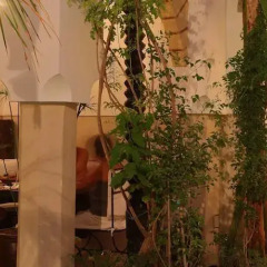 Отель Riad Tawanza Марокко, Марракеш - отзывы, цены и фото номеров - забронировать отель Riad Tawanza онлайн фото 8