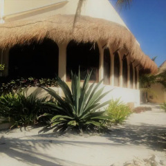 Отель Balamku Inn on the Beach