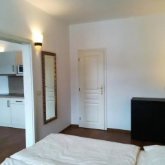 Апартаменты Apartments Marienbad Марианске-Лазне удобства в номере