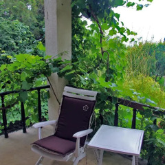 Отель Guest House Zora Болгария, Генерал-Кантраджиево - отзывы, цены и фото номеров - забронировать отель Guest House Zora онлайн балкон