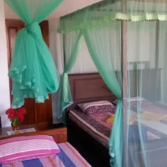 Отель Shasee Rest -Mirissa Sri Lanaka 2* Номер категории Эконом с различными типами кроватей фото 8