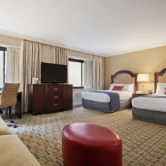 Отель The Capital Hilton 4* Номер Делюкс с различными типами кроватей фото 4