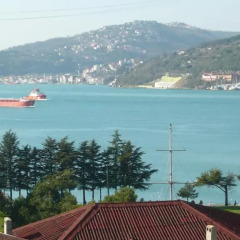 Bosphorus Konak Турция, Стамбул - отзывы, цены и фото номеров - забронировать отель Bosphorus Konak онлайн приотельная территория